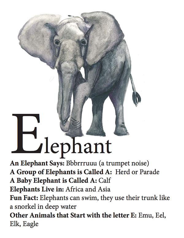 Elephant 600