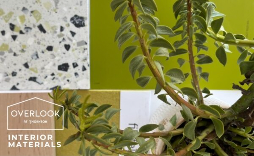 Overlook Interior Materials